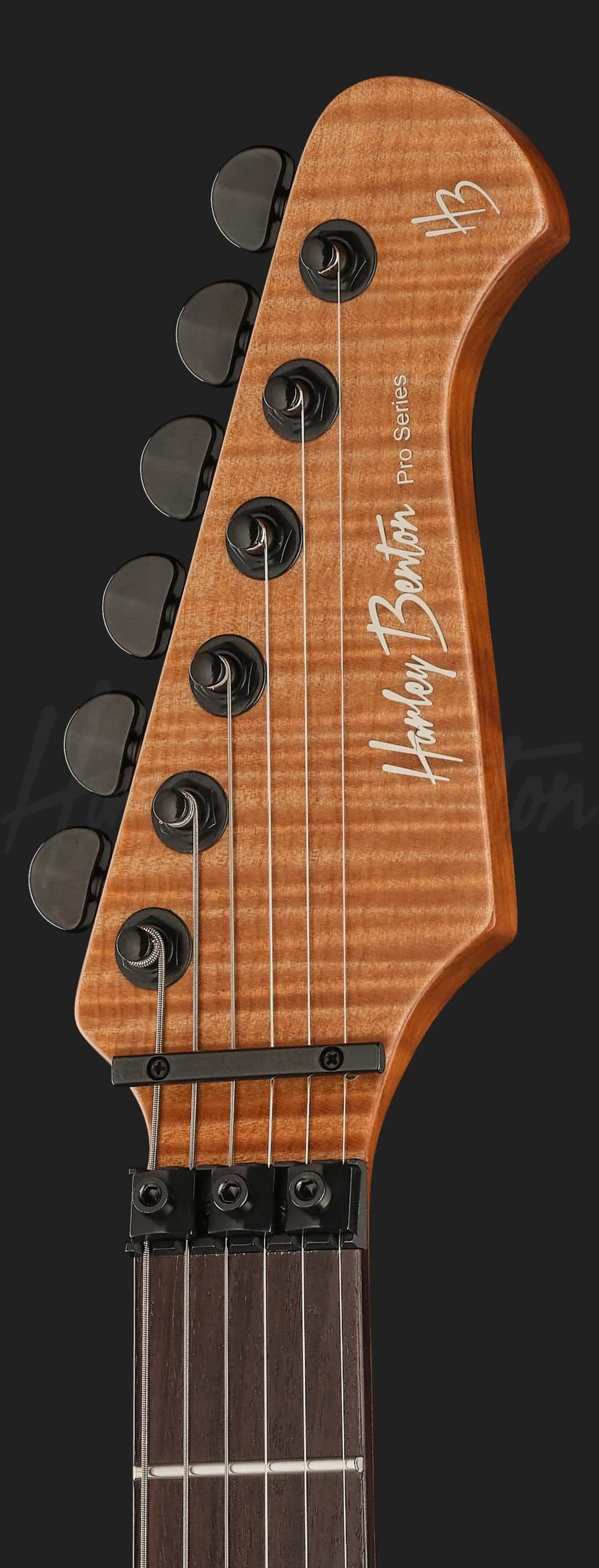 Harley Benton Fusion-IV HH RW FR BM — photo 6