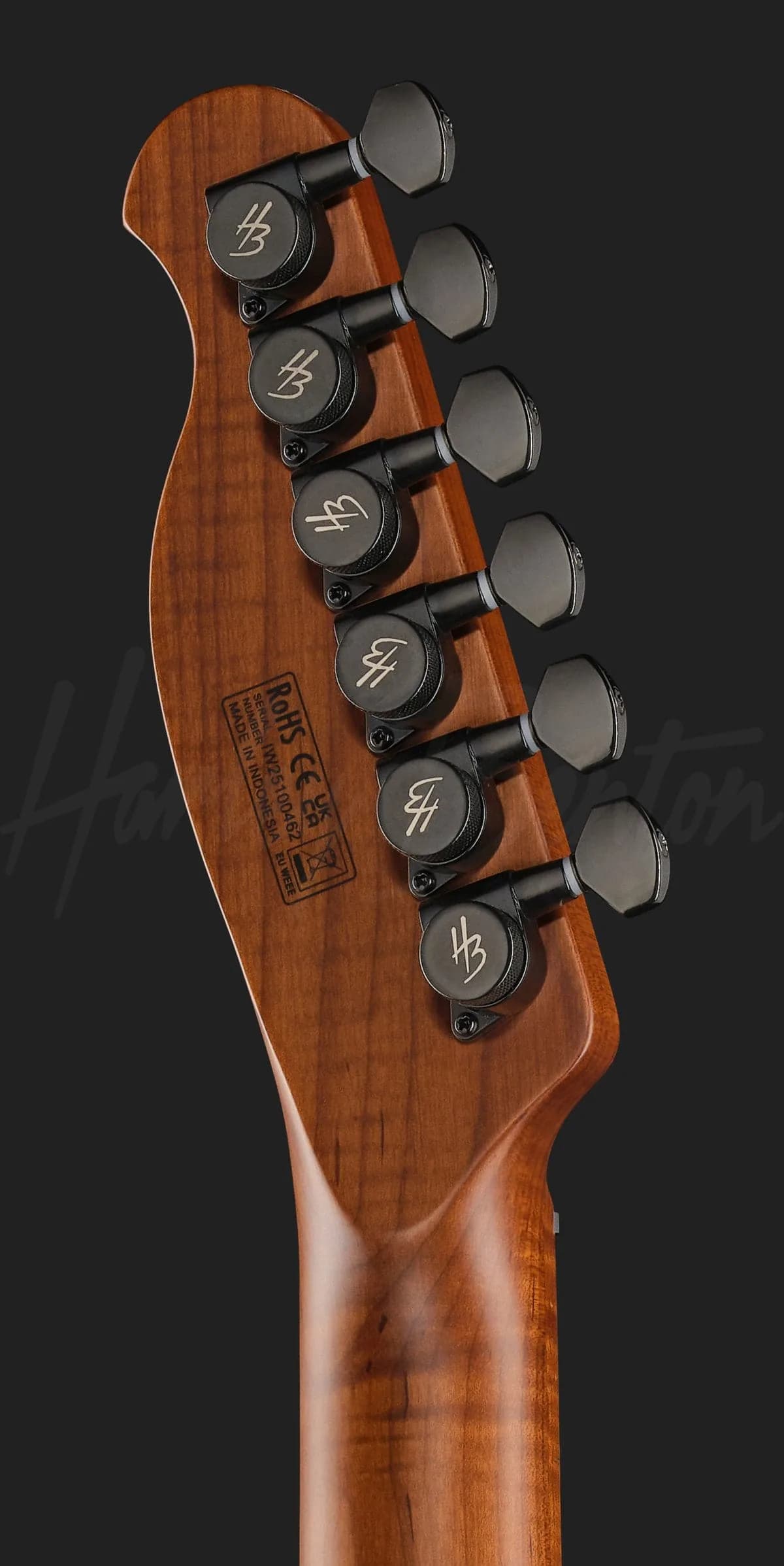 Harley Benton Fusion-T II HH MN HT BM — photo 7