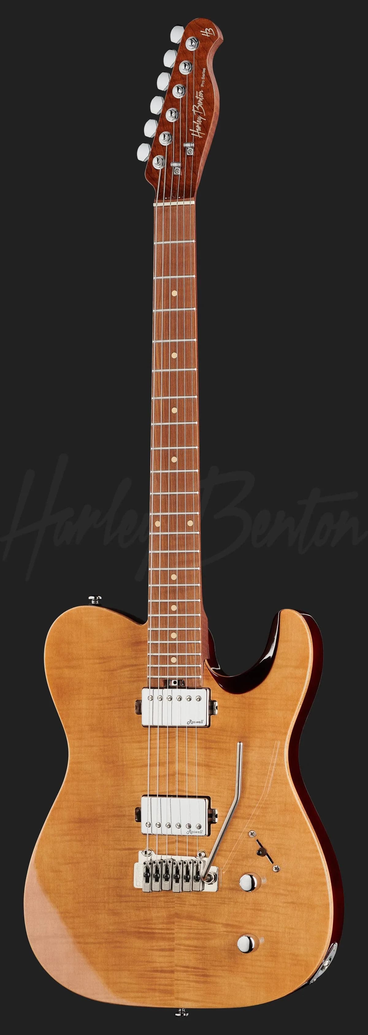 Harley Benton Fusion-T HH Roasted FNT — photo 2