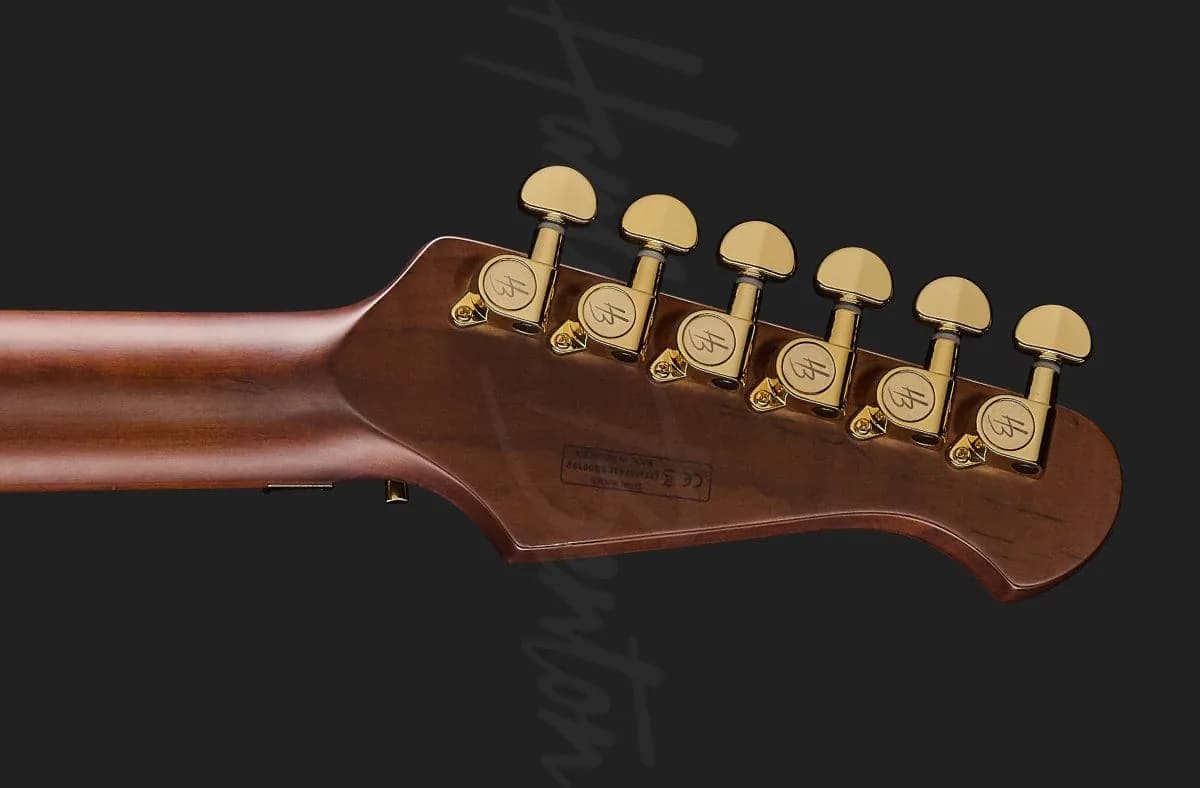 Harley Benton Guitar MAX Fusion Signature PF — photo 7