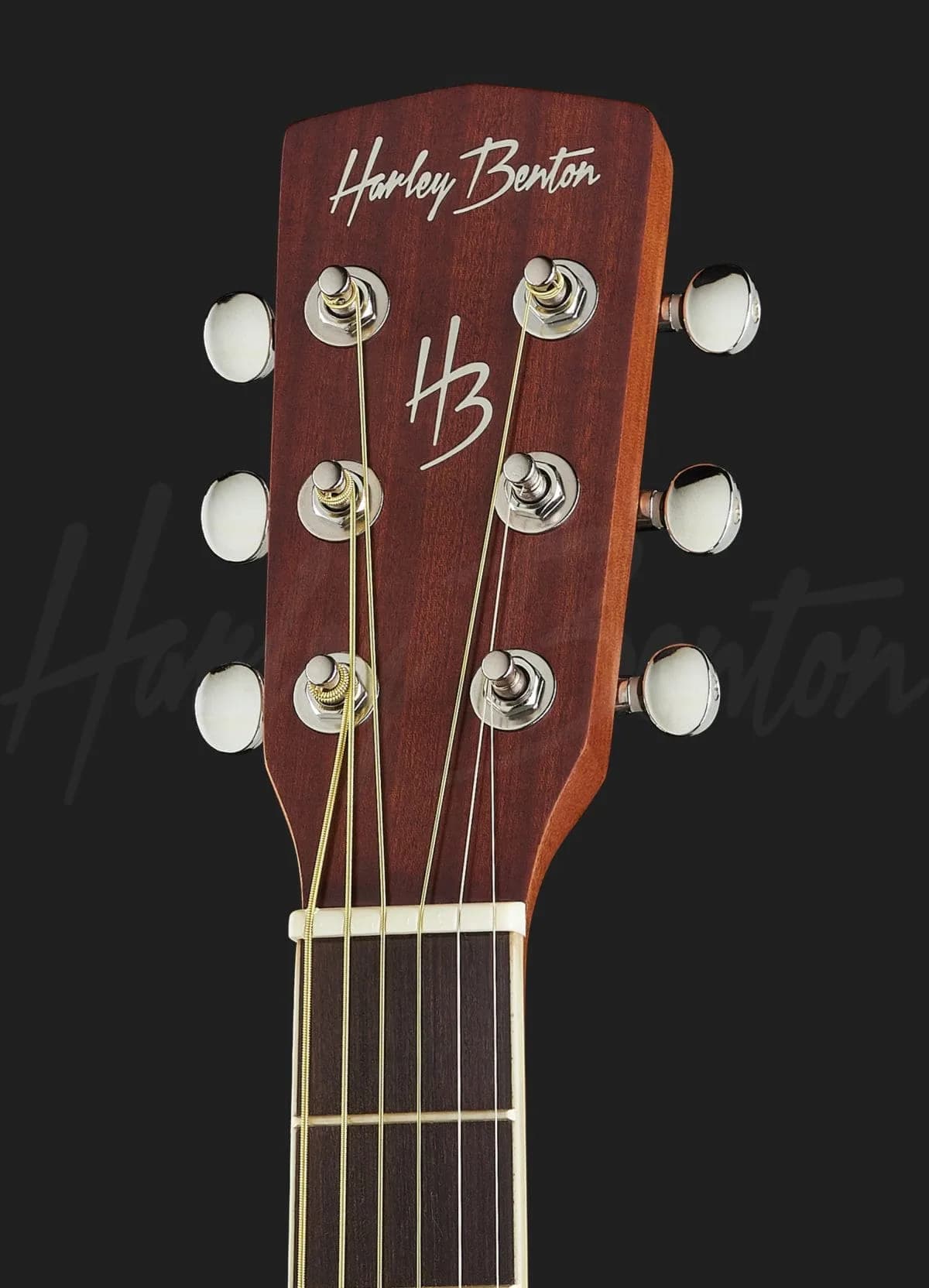 Harley Benton Traveler-Steel w. bag — photo 6