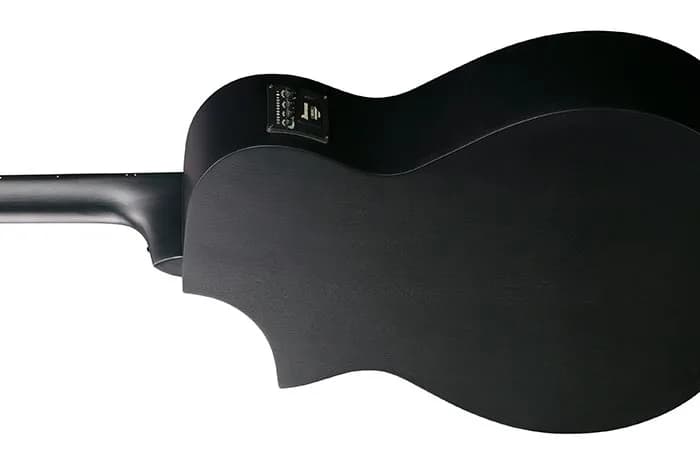Ibanez AEWC621 — photo 3