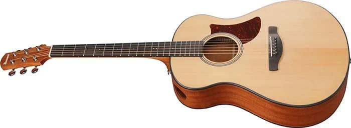 Ibanez AAM50 — photo 4