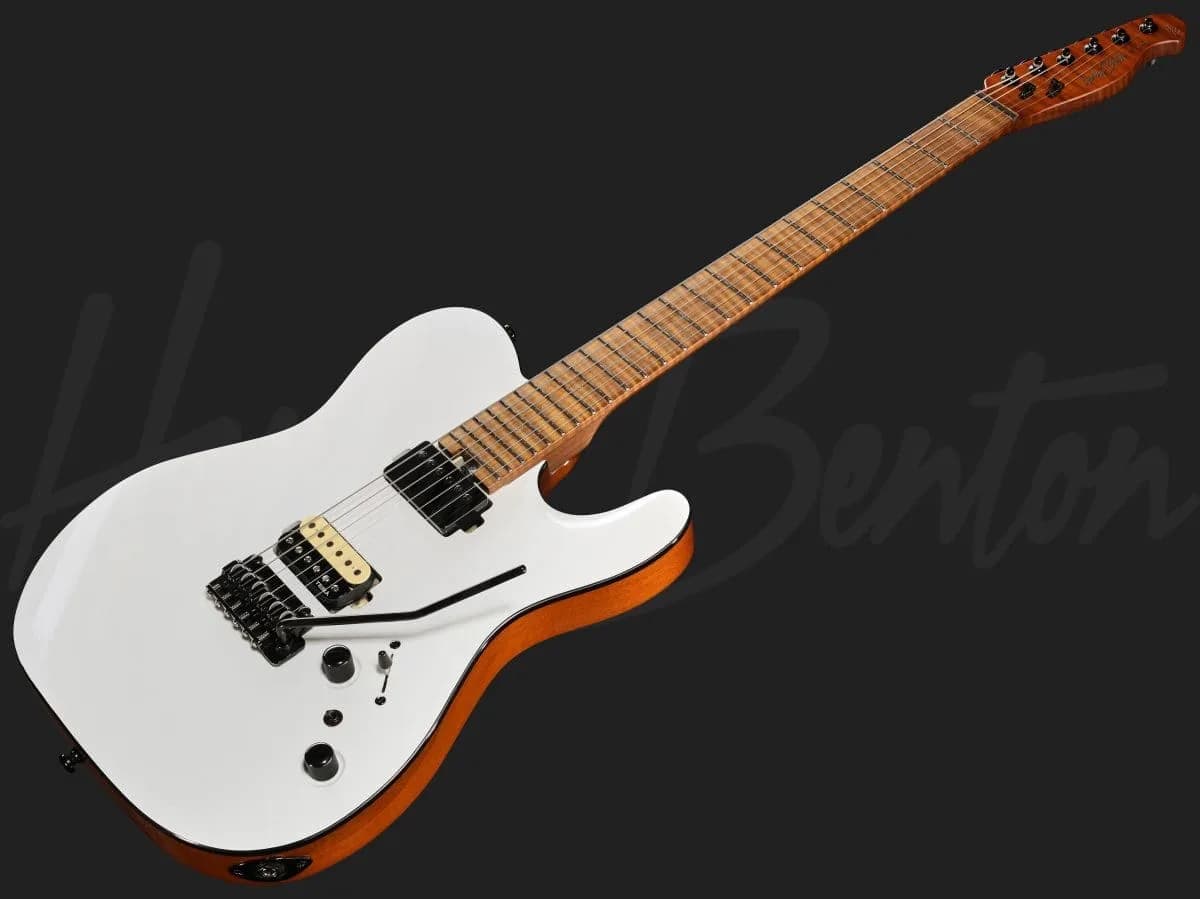 Harley Benton Fusion-T II HH MN WM — photo 8