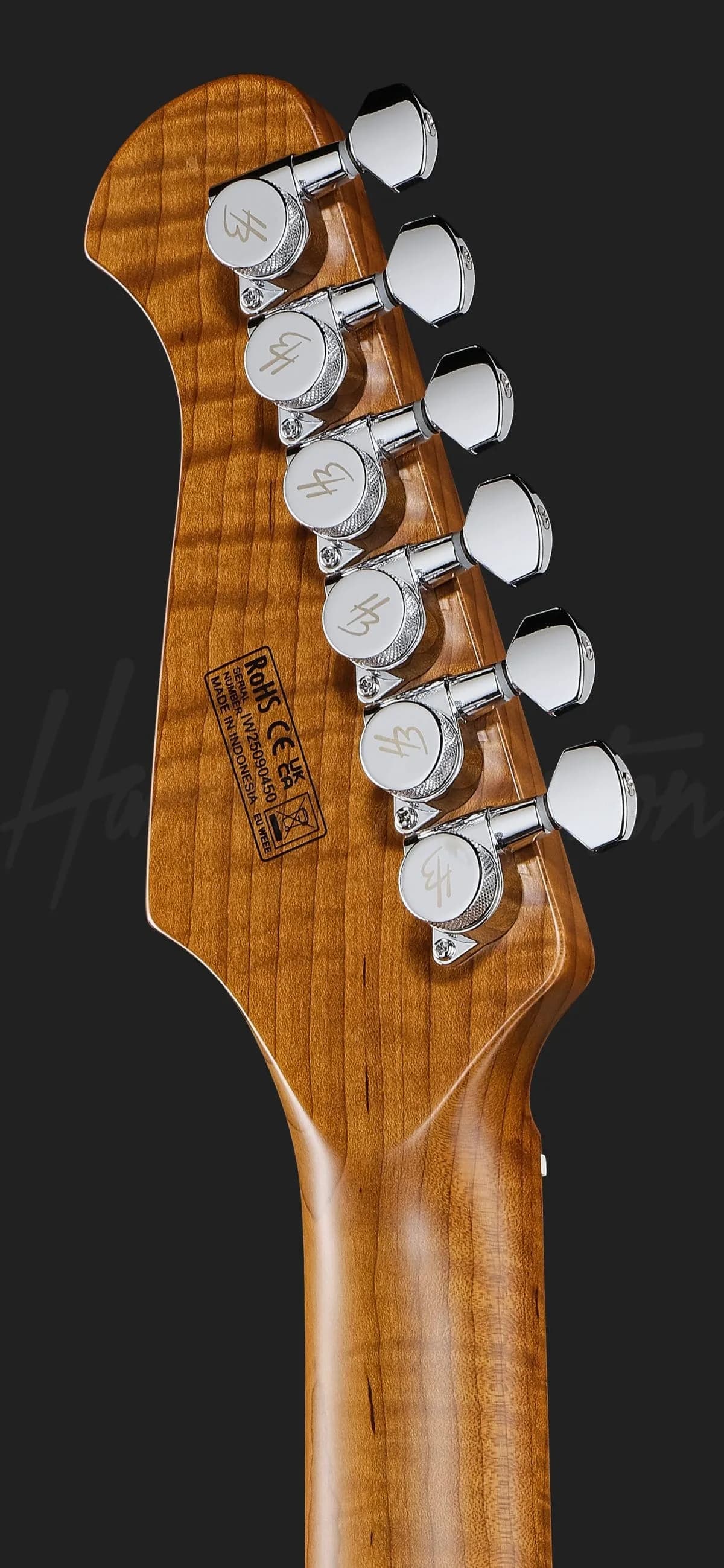 Harley Benton Fusion-IV HH MN FNT — photo 7