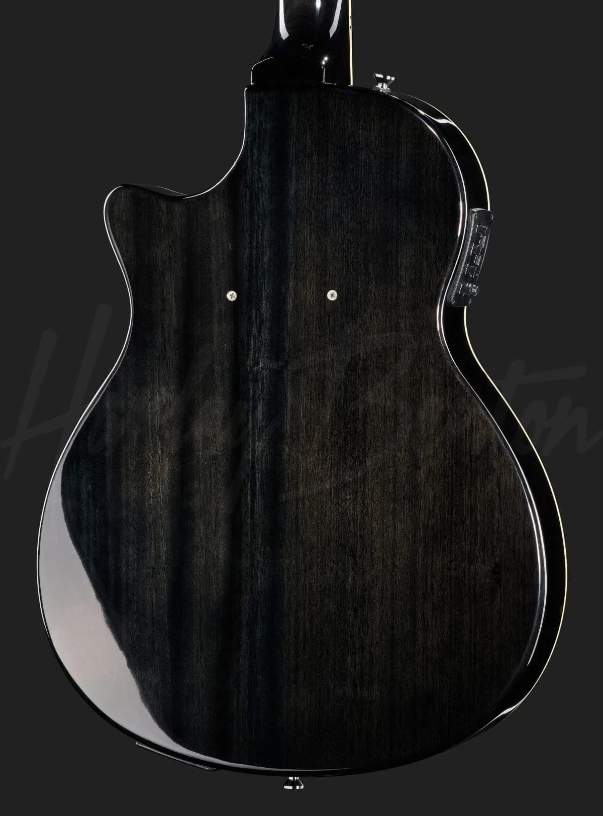 Harley Benton Nashville-Steel — photo 5