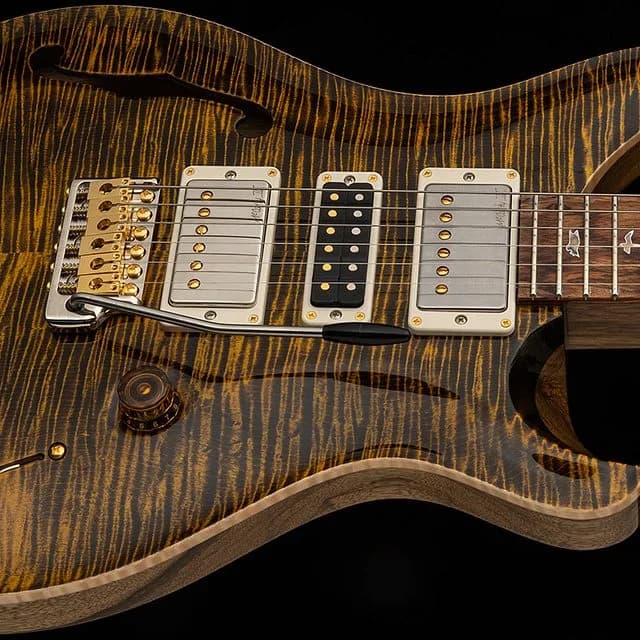 PRS 40th Anniversary Special Semi-Hollow Limited Edition — photo 2