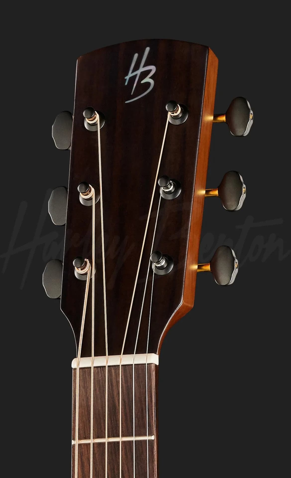 Harley Benton CLG-70ASR CE SBK — photo 6