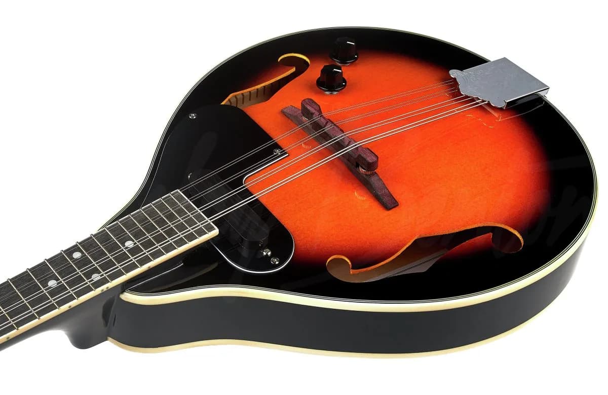 Harley Benton MA-50E VS — photo 6