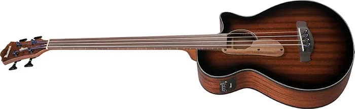 Ibanez AEGB24FE — photo 4