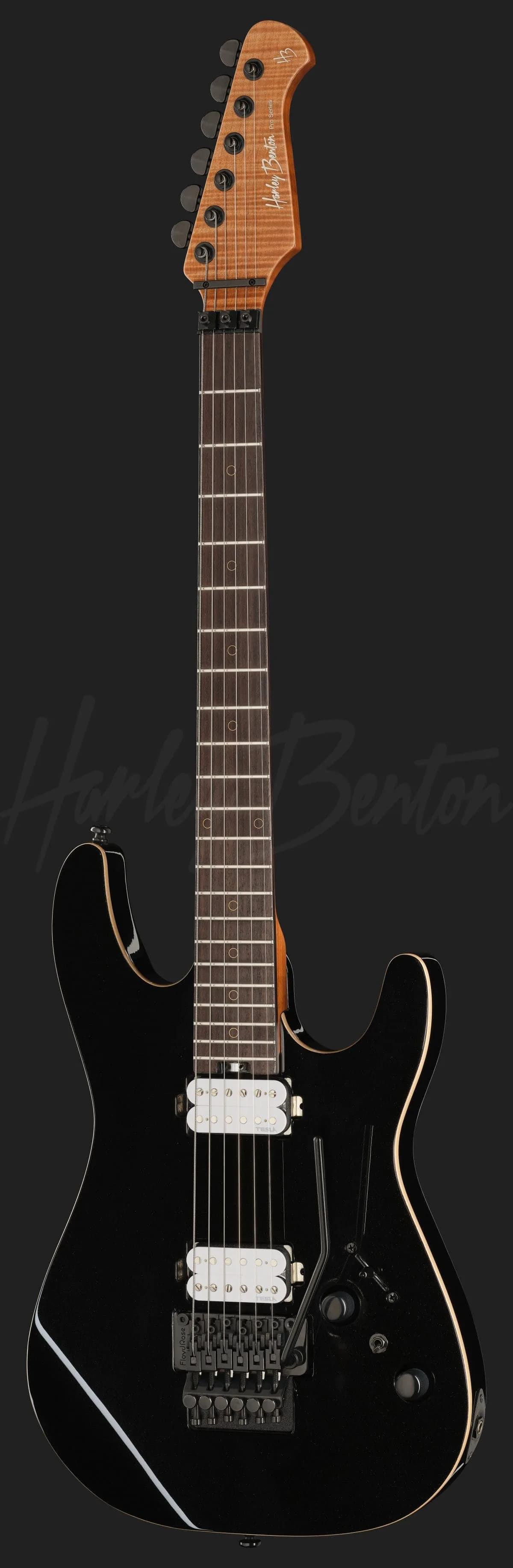 Harley Benton Fusion-IV HH RW FR BM — photo 2