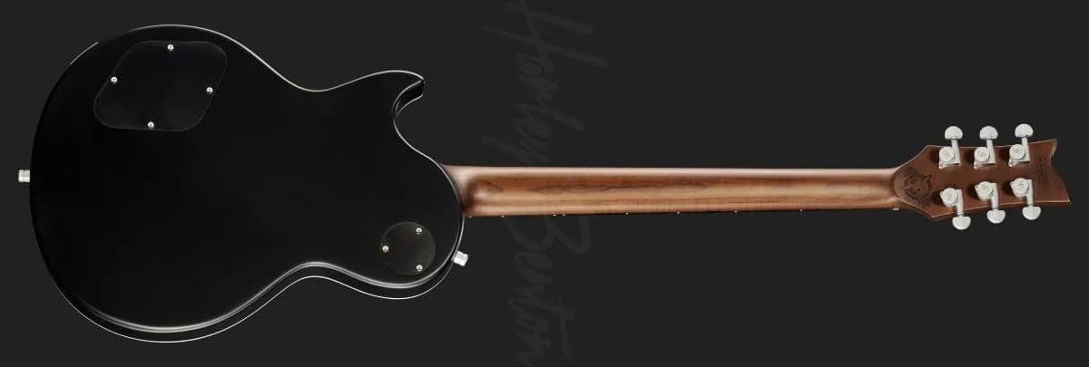 Harley Benton Agufish Standard STD BT BK — photo 3