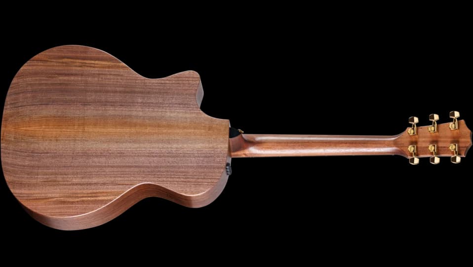 Taylor 50th Anniversary AD14ce-SB LTD — photo 2