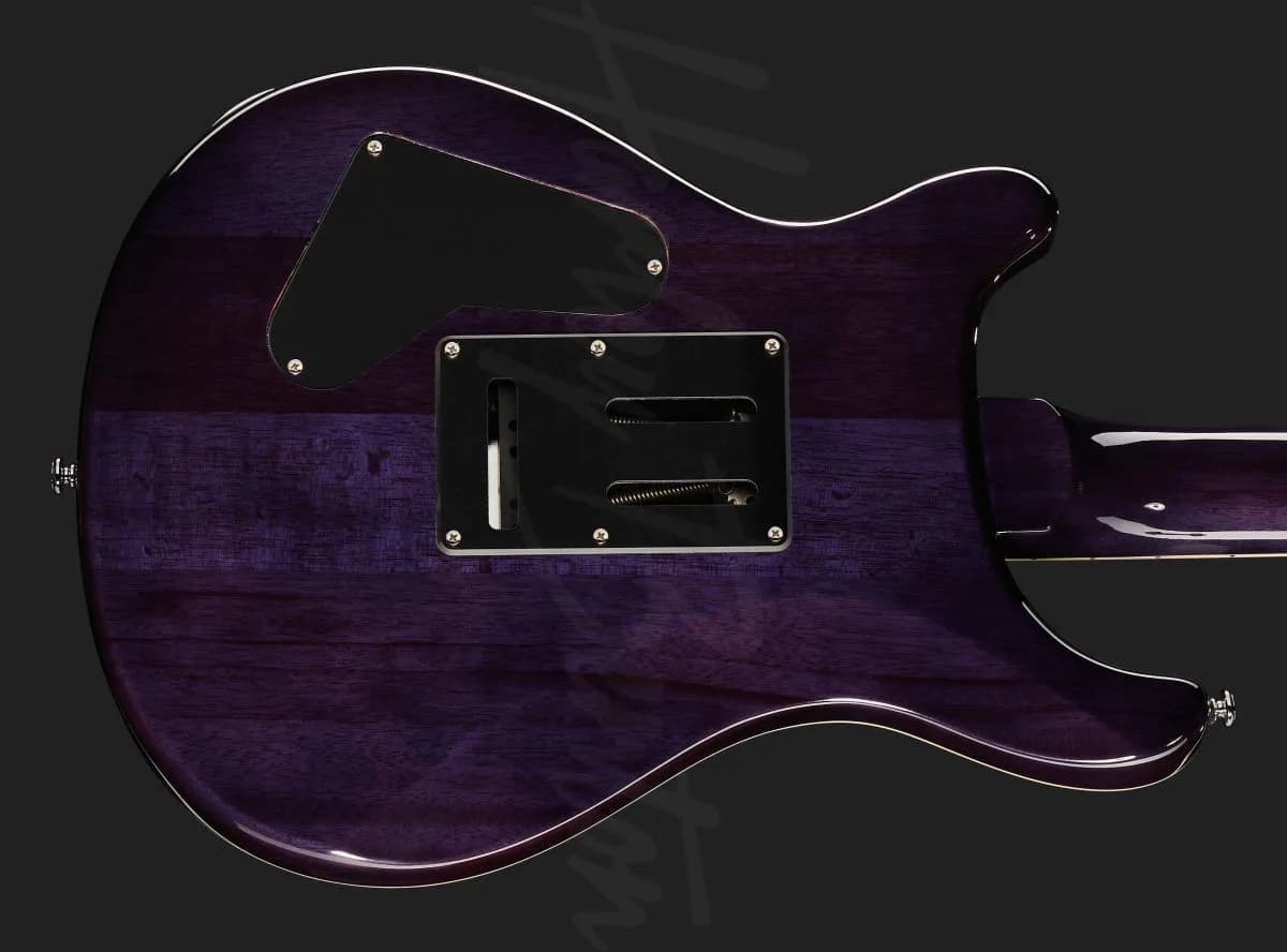 Harley Benton CST-24T Purple Burst — photo 5