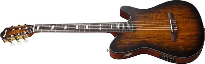 Ibanez FRH20SMN — photo 4