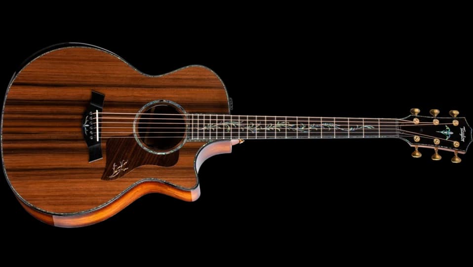Taylor PS14ce Honduran Rosewood
