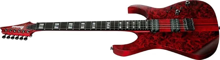 Ibanez RGT1221PB — photo 8