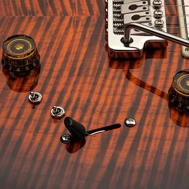 PRS SE Special Semi-Hollow — photo 5