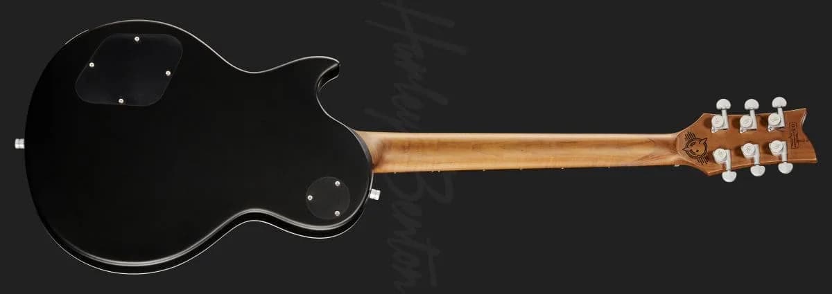 Harley Benton Agufish STD Signature BK — photo 3