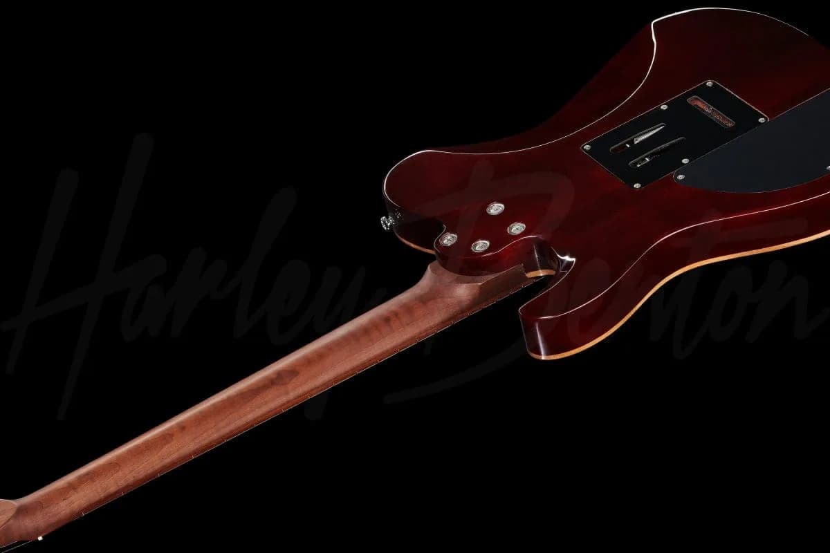 Harley Benton Fusion-T HH Roasted FNT — photo 8