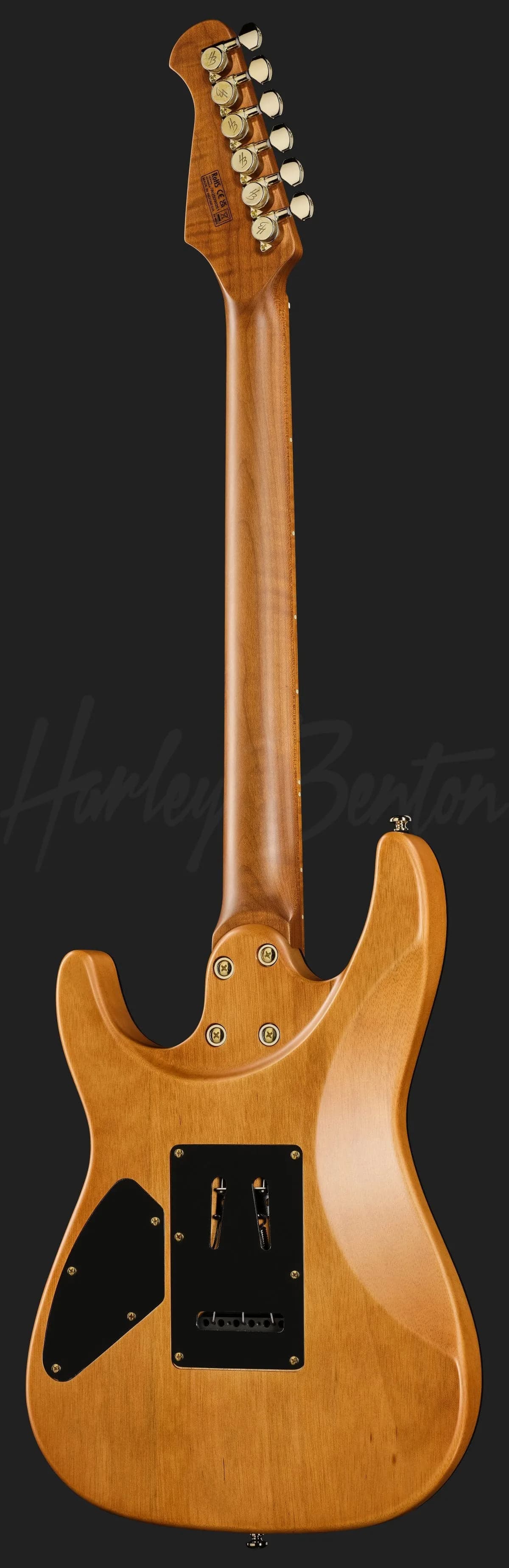 Harley Benton Fusion-IV HH MN SGD — photo 3