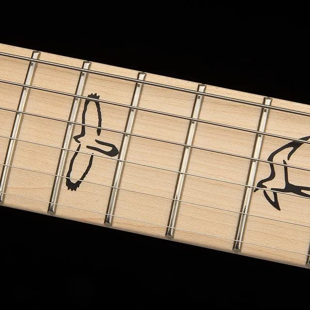 PRS Swamp Ash Special Maple — photo 6