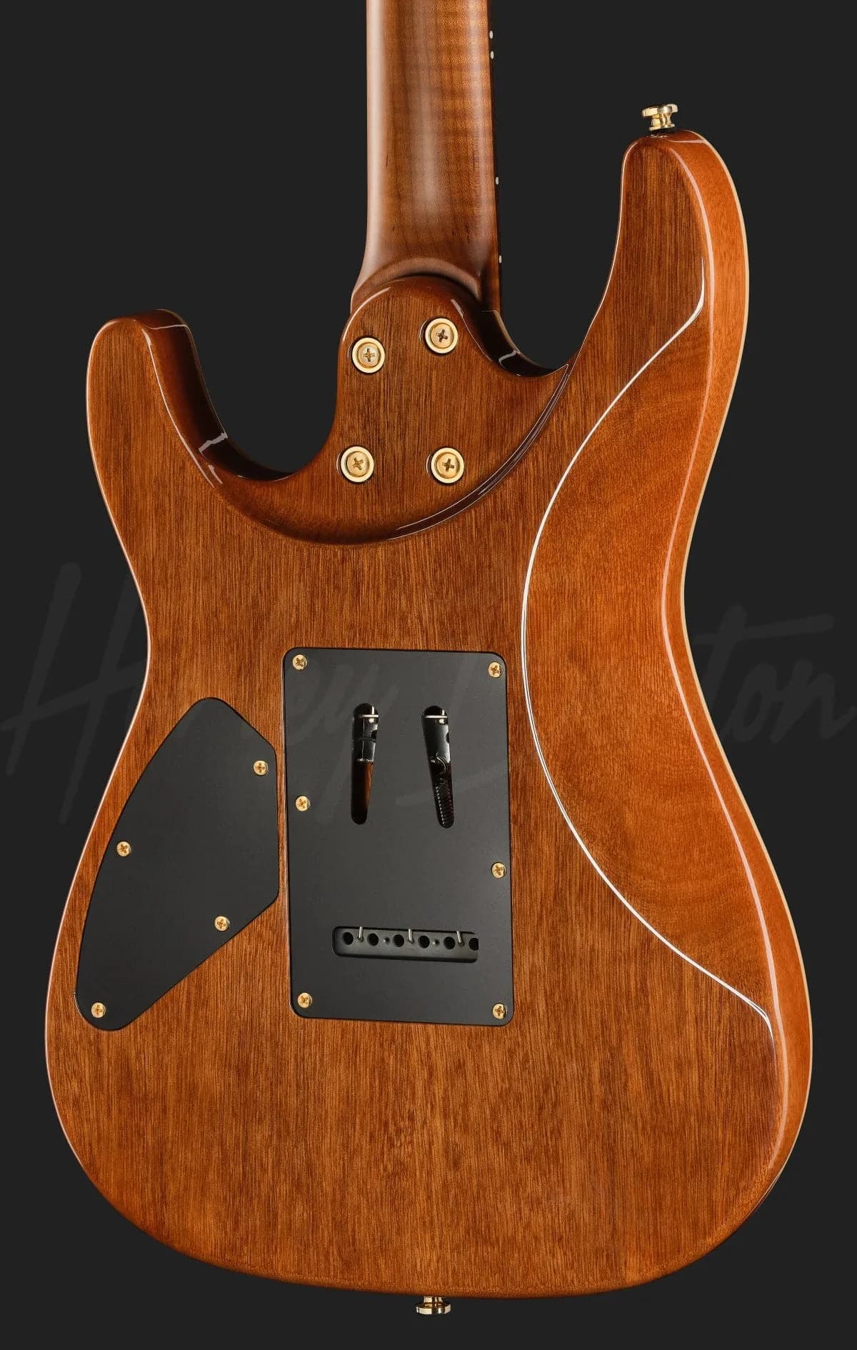 Harley Benton Fusion-IV HSS RW PM — photo 5