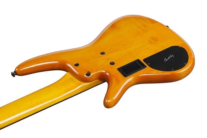 Ibanez GVB36 — photo 3
