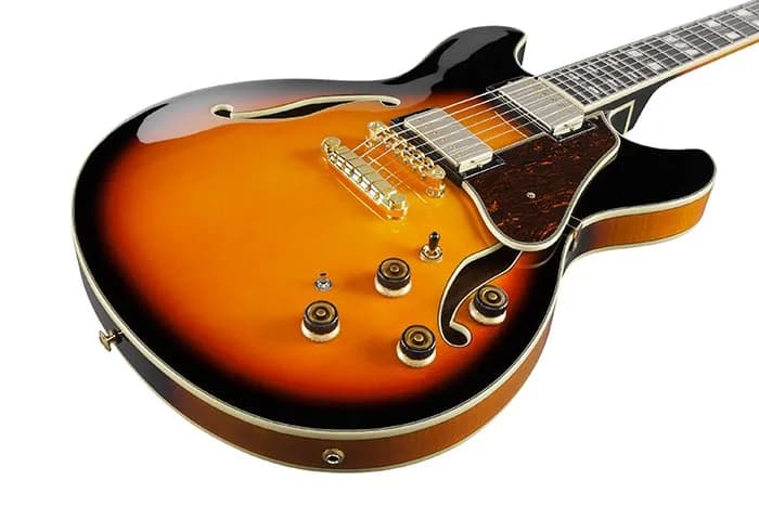 Ibanez AS113 — photo 2