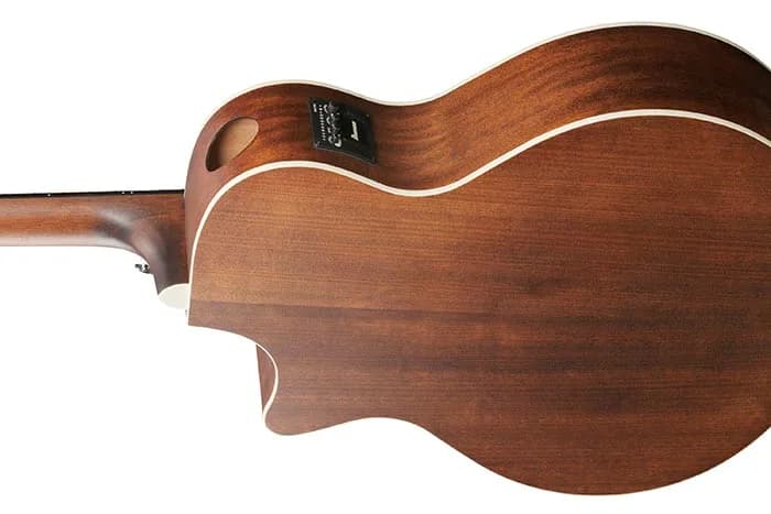 Ibanez AE140 — photo 5