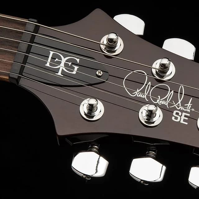 PRS SE DGT Standard