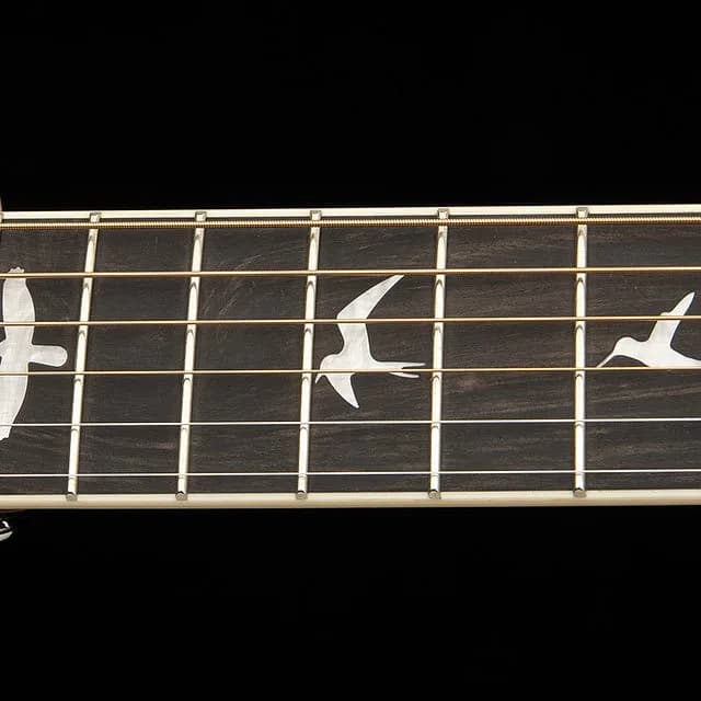 PRS SE P20E — photo 8