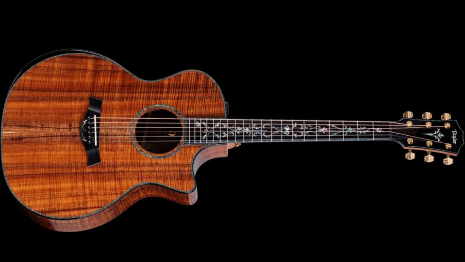 Taylor 50th Anniversary PS24ce LTD &amp; Circa 74 Amp