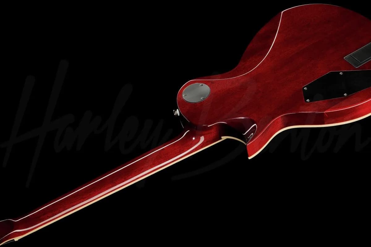 Harley Benton SC-Custom Plus EMG TBF — photo 8