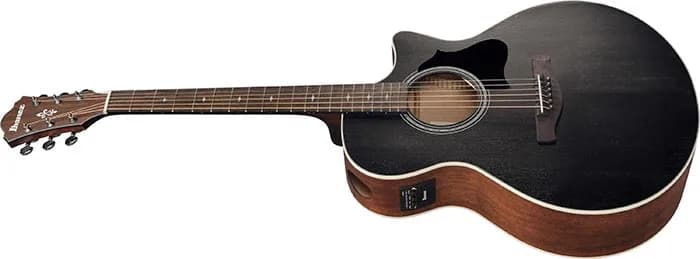 Ibanez AE140 — photo 7