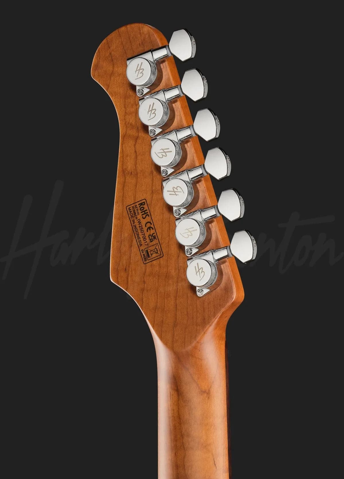 Harley Benton Fusion-IV HSH RW QRG — photo 7