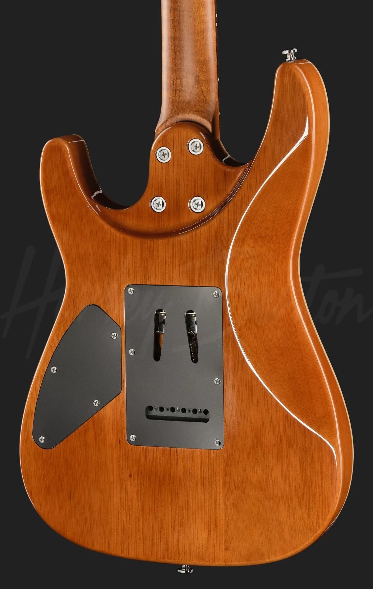 Harley Benton Fusion-IV HSS RW FNT — photo 5