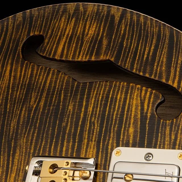 PRS 40th Anniversary Special Semi-Hollow Limited Edition — photo 6