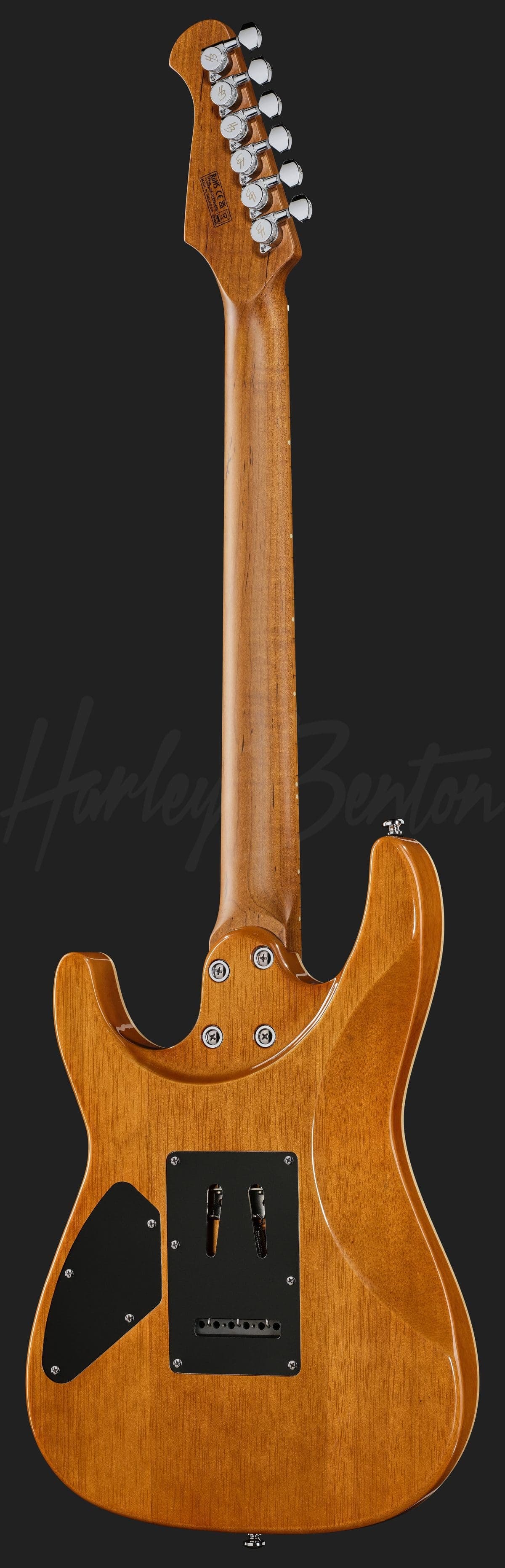 Harley Benton Fusion-IV HH MN RM — photo 3