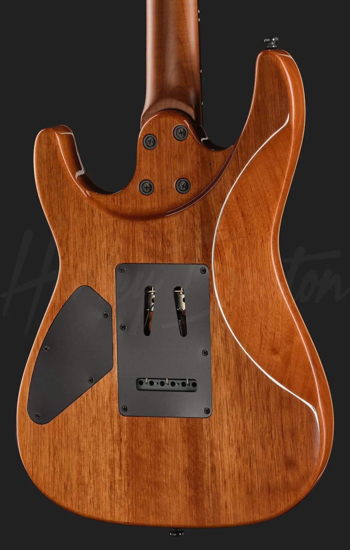 Harley Benton Fusion-IV HSH RW BM — photo 5