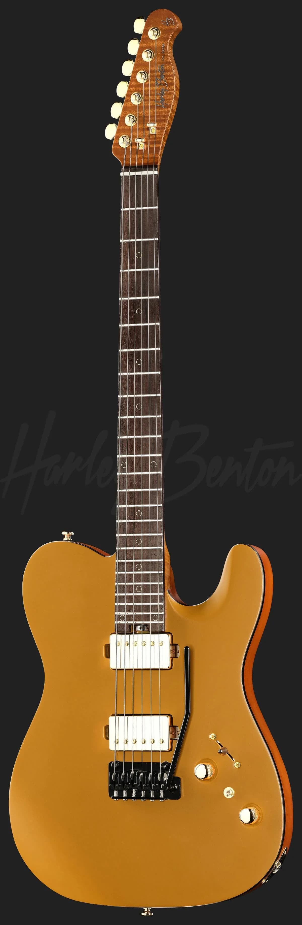 Harley Benton Fusion-T II HH RW SGD — photo 2