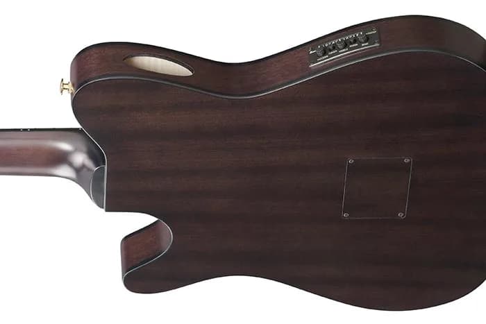 Ibanez FRH20QMN — photo 3