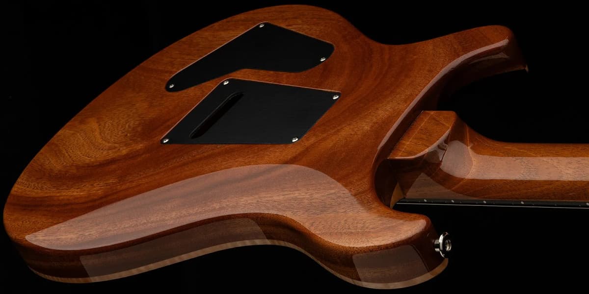 PRS 40th Anniversary Custom 24 Limited Edition — photo 7