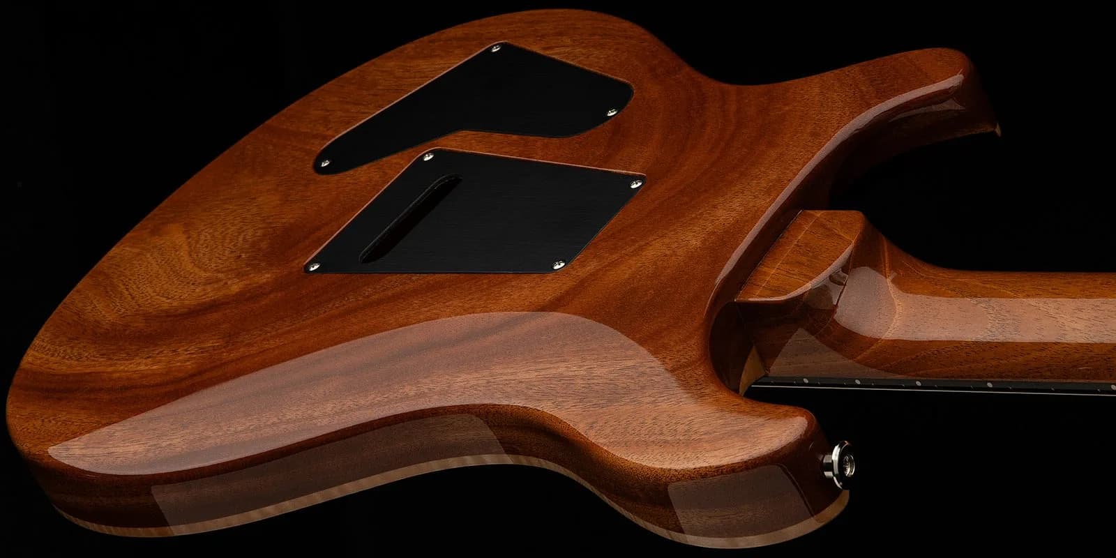 PRS 40th Anniversary Custom 24 Limited Edition — photo 7