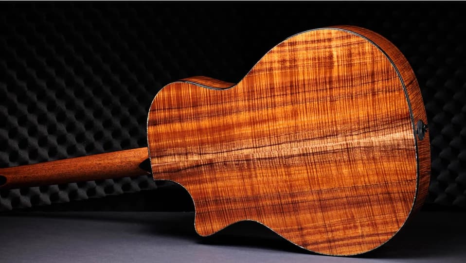 Taylor 50th Anniversary PS24ce LTD &amp; Circa 74 Amp — photo 6
