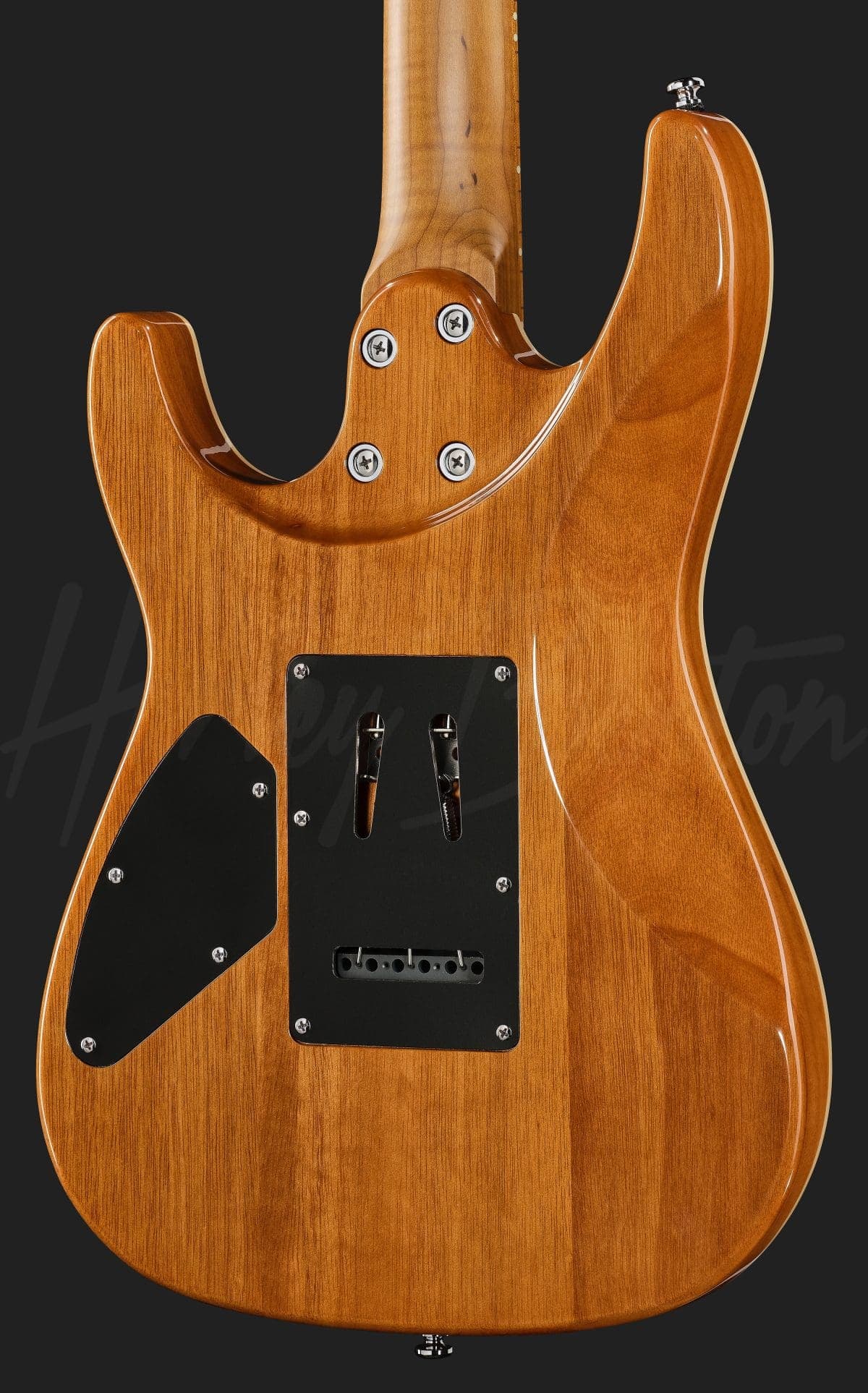 Harley Benton Fusion-IV HSS MN JM — photo 5