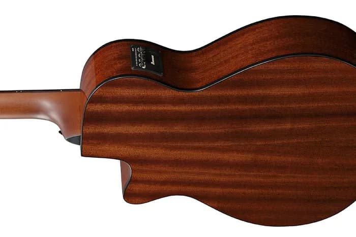 Ibanez AEGB24E — photo 6