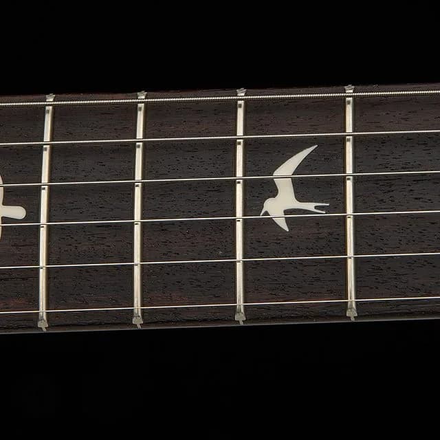 PRS Silver Sky Wild Blue Limited Edition — photo 6