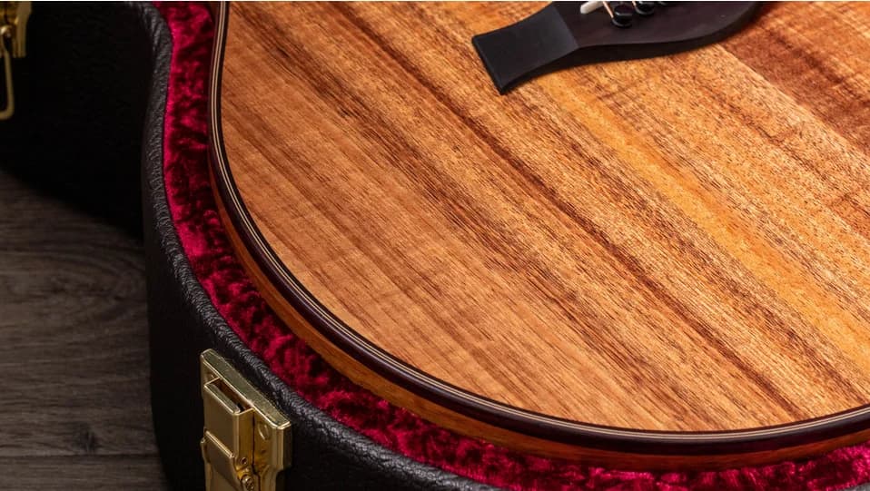 Taylor 724ce (2022) — photo 4