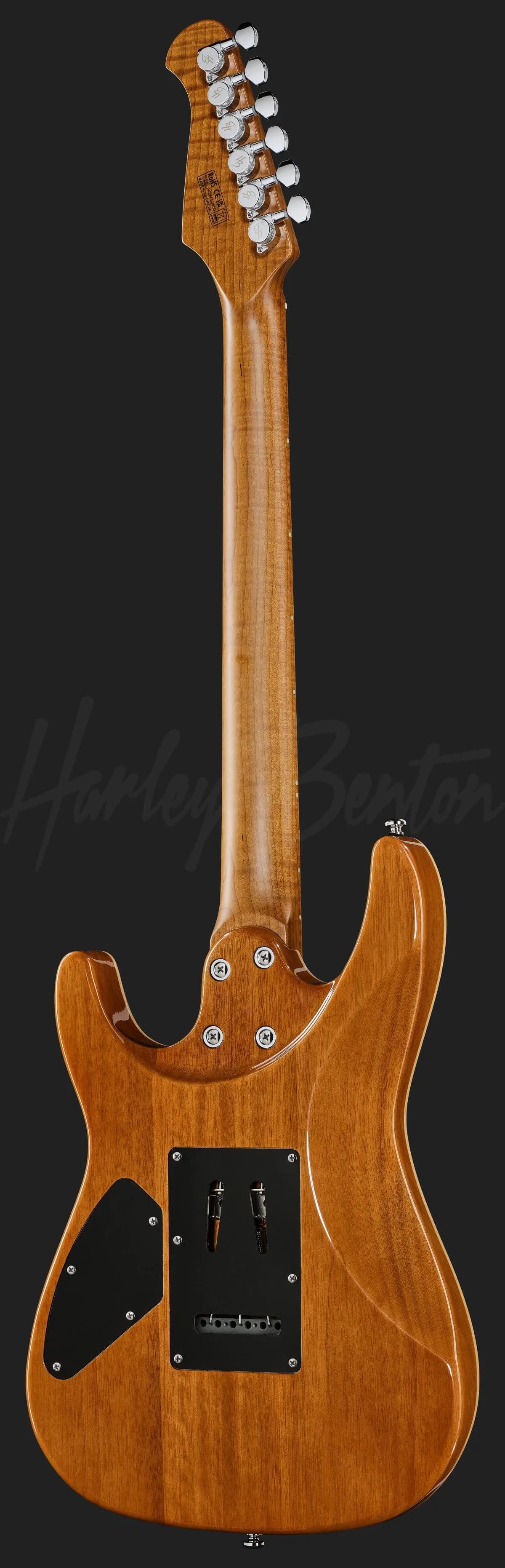 Harley Benton Fusion-IV HH MN FNT — photo 3